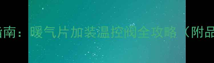 家庭采暖必备指南暖气片加装温控阀全攻略附品牌型号对比