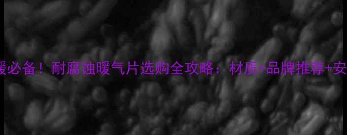 图片 家庭采暖必备！耐腐蚀暖气片选购全攻略：材质+品牌推荐+安装技巧2