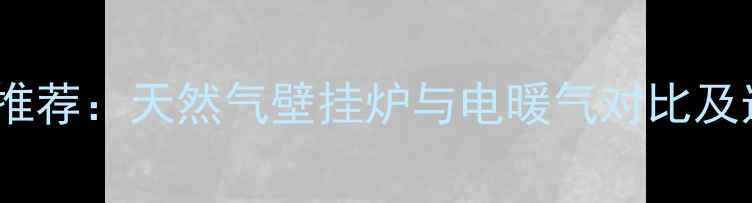 图片 家庭采暖推荐：天然气壁挂炉与电暖气对比及选购指南2