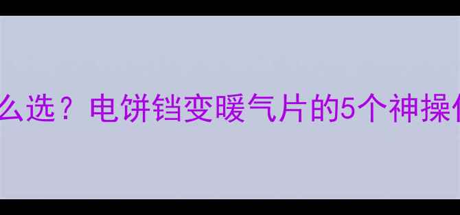 图片 家庭采暖设备怎么选？电饼铛变暖气片的5个神操作｜附清洁妙招1
