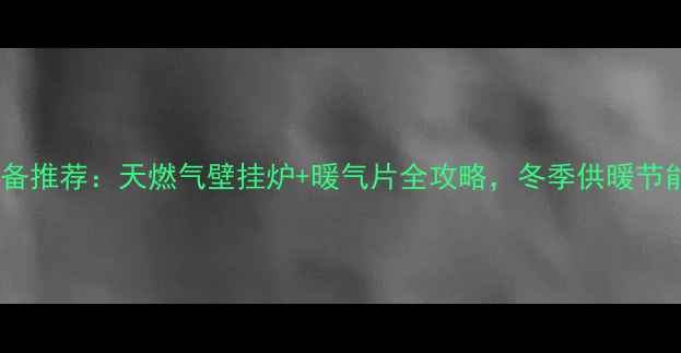 图片 家庭采暖设备推荐：天燃气壁挂炉+暖气片全攻略，冬季供暖节能环保指南1