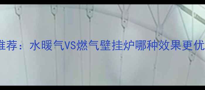 图片 家庭采暖设备推荐：水暖气VS燃气壁挂炉哪种效果更优？附选购指南2