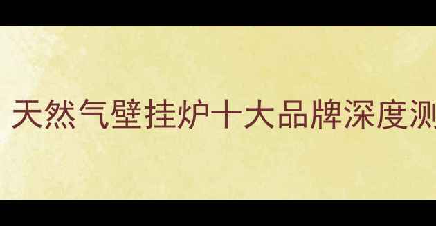 家庭采暖首选天然气壁挂炉十大品牌深度测评与选购指南