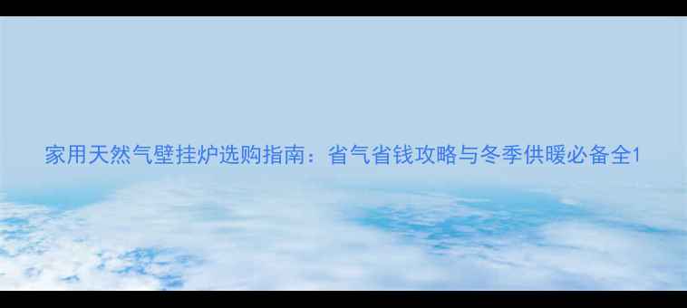 图片 家用天然气壁挂炉选购指南：省气省钱攻略与冬季供暖必备全1