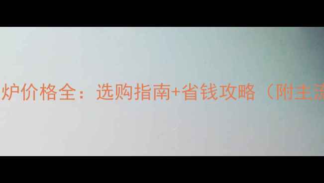 图片 家用天然气锅炉价格全：选购指南+省钱攻略（附主流品牌对比）1