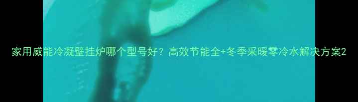 家用威能冷凝壁挂炉哪个型号好高效节能全冬季采暖零冷水解决方案