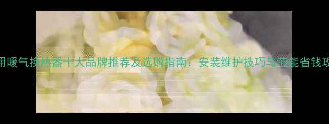 家用暖气换热器十大品牌推荐及选购指南安装维护技巧与节能省钱攻略