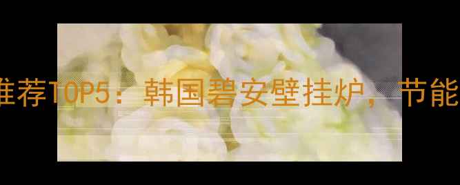 家用燃气壁挂炉推荐TOP5韩国碧安壁挂炉节能环保采暖全攻略