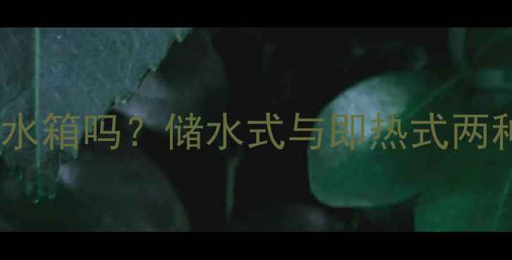 图片 家用燃气采暖炉有水箱吗？储水式与即热式两种类型及选购指南2