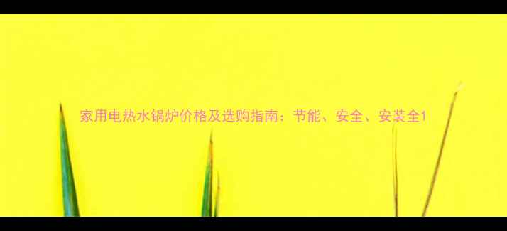 图片 家用电热水锅炉价格及选购指南：节能、安全、安装全1