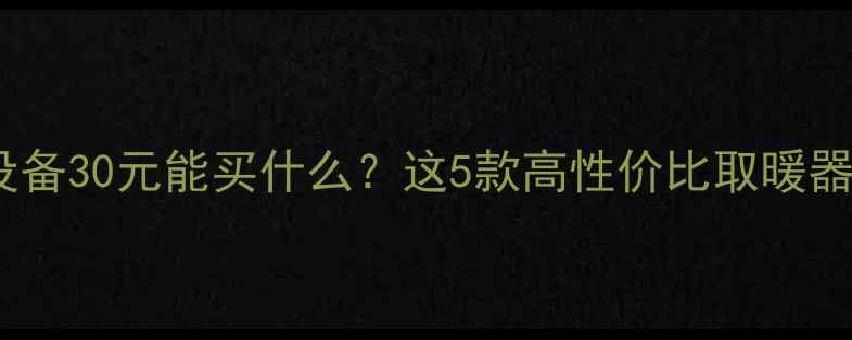 图片 家用采暖设备30元能买什么？这5款高性价比取暖器测评推荐1