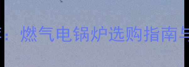 图片 家用锅炉品牌推荐：燃气电锅炉选购指南与十大品牌排行榜1