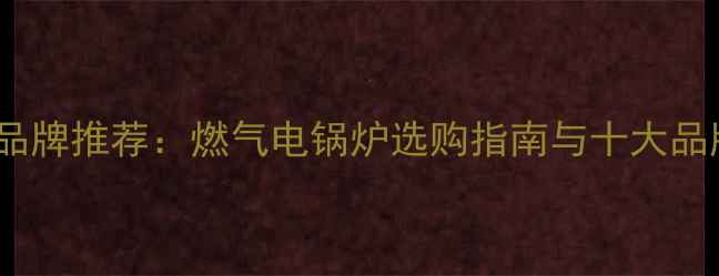 图片 家用锅炉品牌推荐：燃气电锅炉选购指南与十大品牌排行榜2