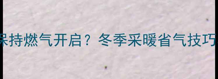 图片 家用锅炉是否需要保持燃气开启？冬季采暖省气技巧与长期使用风险全1