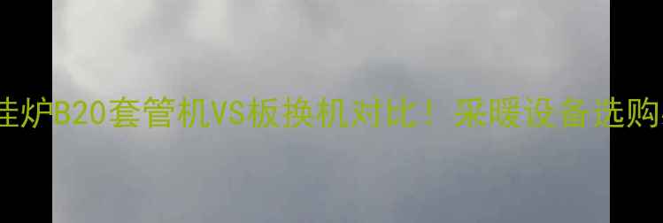 小松鼠壁挂炉B20套管机VS板换机对比采暖设备选购必看指南
