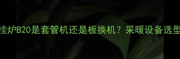 图片 小松鼠壁挂炉B20是套管机还是板换机？采暖设备选型核心差异