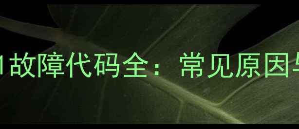 图片 小松鼠壁挂炉C1故障代码全：常见原因与专业维修指南