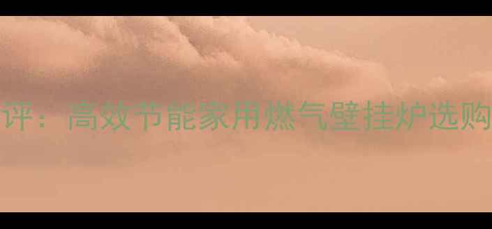 图片 小松鼠壁挂炉JLG31D2深度测评：高效节能家用燃气壁挂炉选购全攻略（附真实用户评价）1