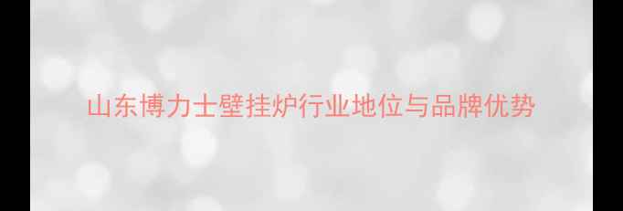 图片 山东博力士壁挂炉行业地位与品牌优势