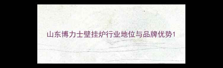 图片 山东博力士壁挂炉行业地位与品牌优势1