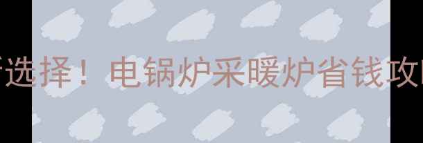 山东家庭采暖新选择电锅炉采暖炉省钱攻略省电技巧全