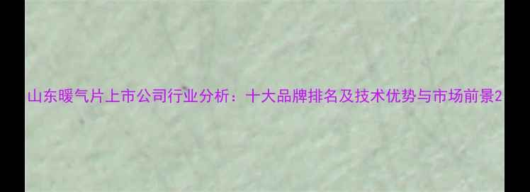 山东暖气片上市公司行业分析十大品牌排名及技术优势与市场前景