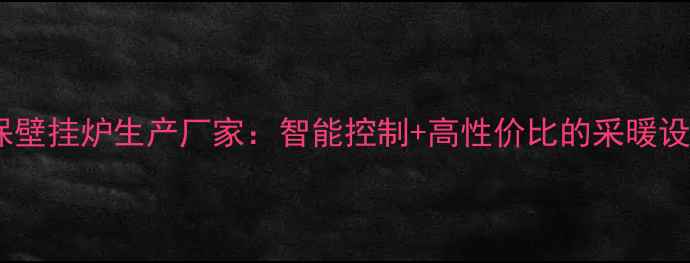 图片 山东节能环保壁挂炉生产厂家：智能控制+高性价比的采暖设备解决方案1