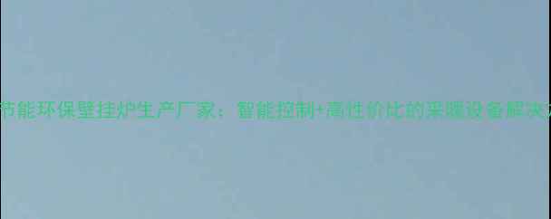 图片 山东节能环保壁挂炉生产厂家：智能控制+高性价比的采暖设备解决方案2