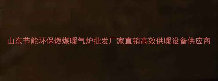 图片 山东节能环保燃煤暖气炉批发厂家直销高效供暖设备供应商