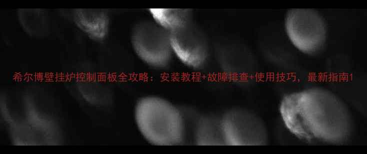 希尔博壁挂炉控制面板全攻略安装教程故障排查使用技巧最新指南