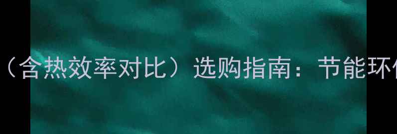 图片 帝斯顿壁挂炉价格表（含热效率对比）选购指南：节能环保款与高性价比款全1