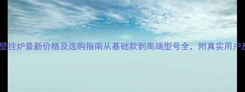 图片 帝斯顿壁挂炉最新价格及选购指南从基础款到高端型号全，附真实用户反馈！2