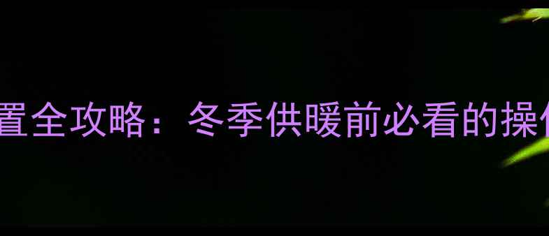 图片 帝高壁挂炉时间设置全攻略：冬季供暖前必看的操作指南与故障处理1