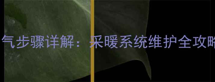 图片 并联暖气片科学放气步骤详解：采暖系统维护全攻略（附图文教程）2