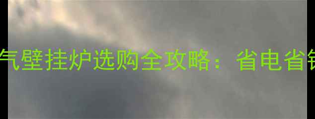 图片 广东佛山家庭采暖必备！燃气壁挂炉选购全攻略：省电省钱还暖和，附安装避坑指南2