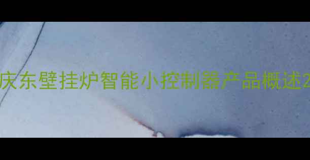 图片 庆东壁挂炉智能小控制器产品概述2