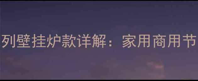 图片 庆东纳碧安Q17系列壁挂炉款详解：家用商用节能静音性能全面2