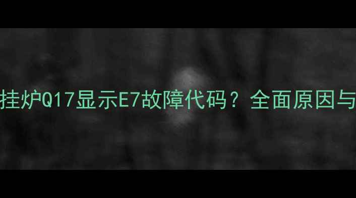 图片 庆东纳碧安壁挂炉Q17显示E7故障代码？全面原因与专业维修指南