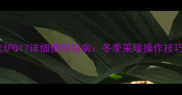 庆东纳碧安壁挂炉Q17详细使用指南冬季采暖操作技巧与维护保养全