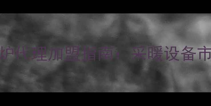 图片 徐州专业壁挂炉代理加盟指南：采暖设备市场趋势与投资