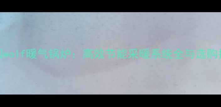 图片 德国wolf暖气锅炉：高效节能采暖系统全与选购指南