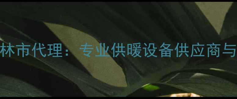 图片 德国博世壁挂炉吉林市代理：专业供暖设备供应商与冬季供暖解决方案