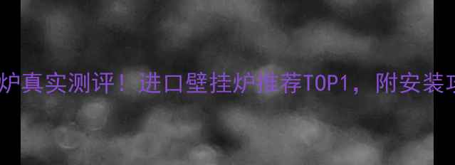 德国原装斯密壁挂炉真实测评进口壁挂炉推荐TOP1附安装攻略和优缺点分析