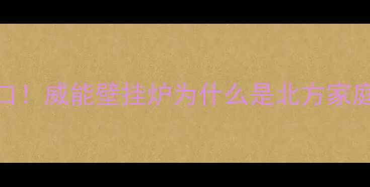 德国原装进口威能壁挂炉为什么是北方家庭采暖首选