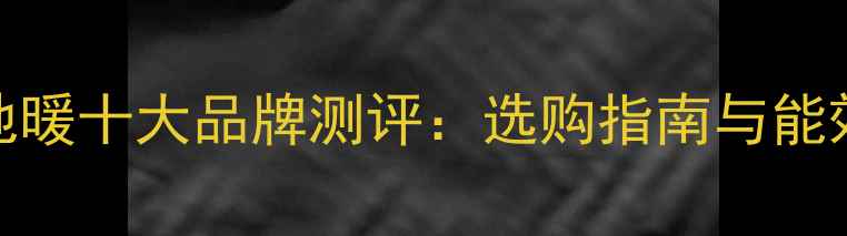 图片 德国地暖十大品牌测评：选购指南与能效对比