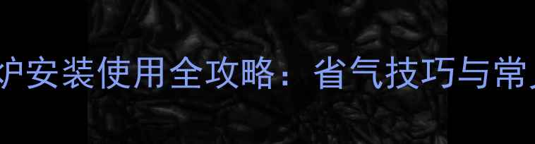 图片 德国奥莱斯壁挂炉安装使用全攻略：省气技巧与常见故障排除指南1