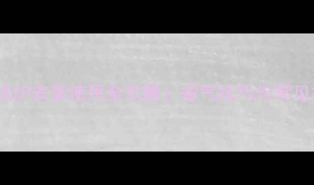 图片 德国奥莱斯壁挂炉安装使用全攻略：省气技巧与常见故障排除指南2