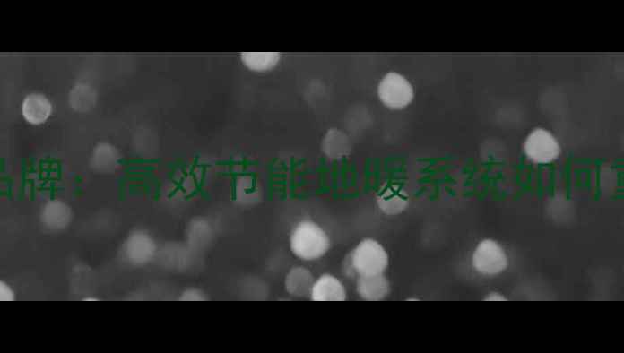 图片 德国威斯曼地暖品牌：高效节能地暖系统如何重塑家居采暖体验