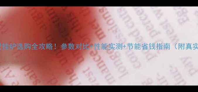 图片 德国威特尼壁挂炉选购全攻略！参数对比+性能实测+节能省钱指南（附真实用户反馈）1