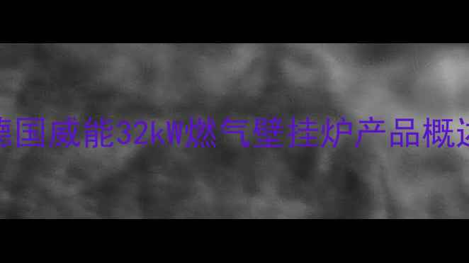 图片 德国威能32kW燃气壁挂炉产品概述